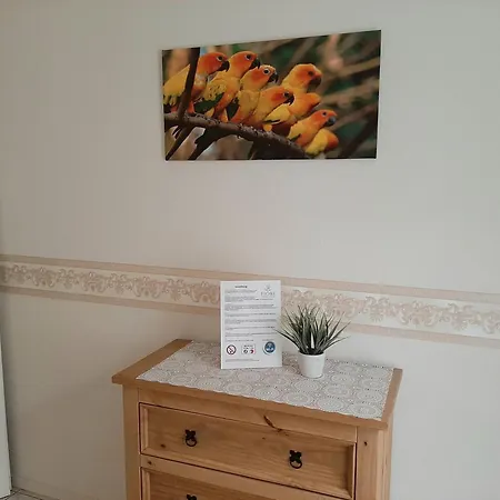 Pensjonat Fiore Gaestezimmer Esselbach
